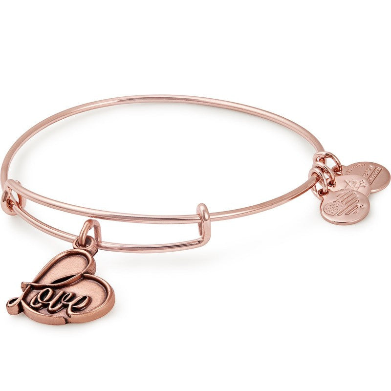 Alex and ani love on sale bracelet