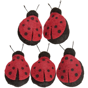 Ladybug Magnet Set