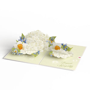 May You Find Peace and Comfort Sympathy Lovepop Card