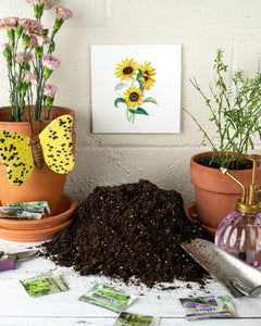 Quilled Wild Sunflowers Greeting Card