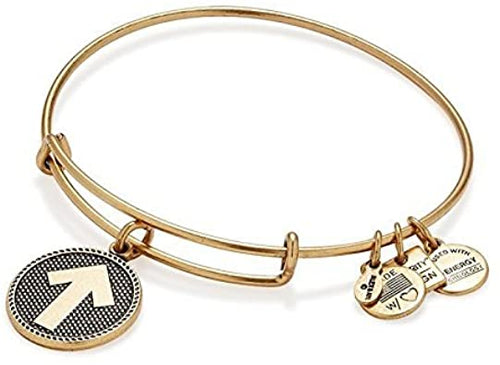 Alex and Ani Stand up to Cancer Charm Bangle