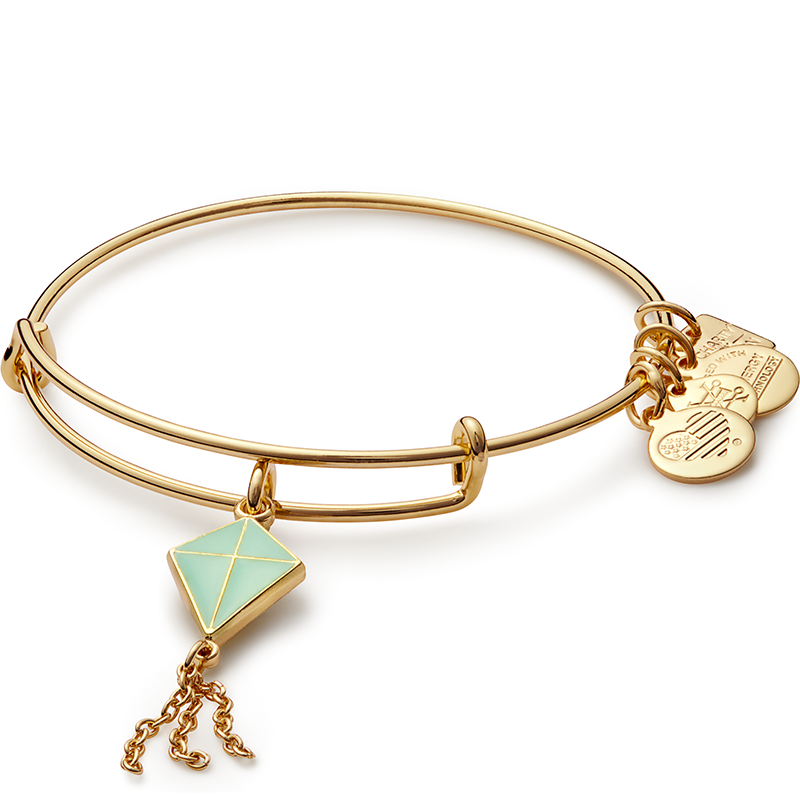 Alex and Ani Inspiration in Flight Charm Bangle