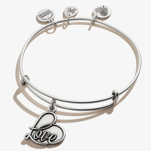 Alex and Ani Love Charm Bangle