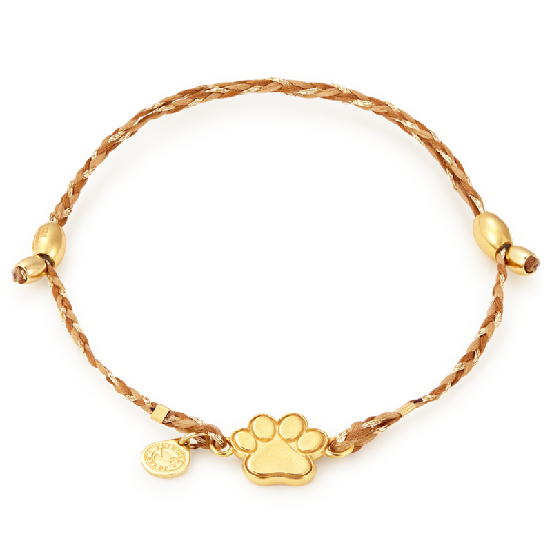 Alex and ani hot sale paw bracelet