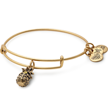 Load image into Gallery viewer, Alex and Ani Pineapple Charm Bangle
